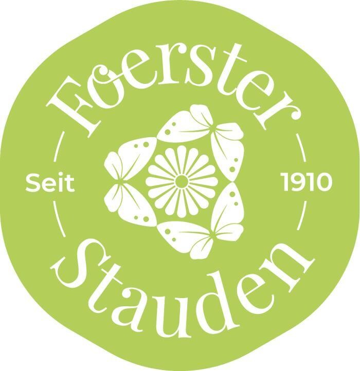 Bilder Foerster-Stauden GmbH