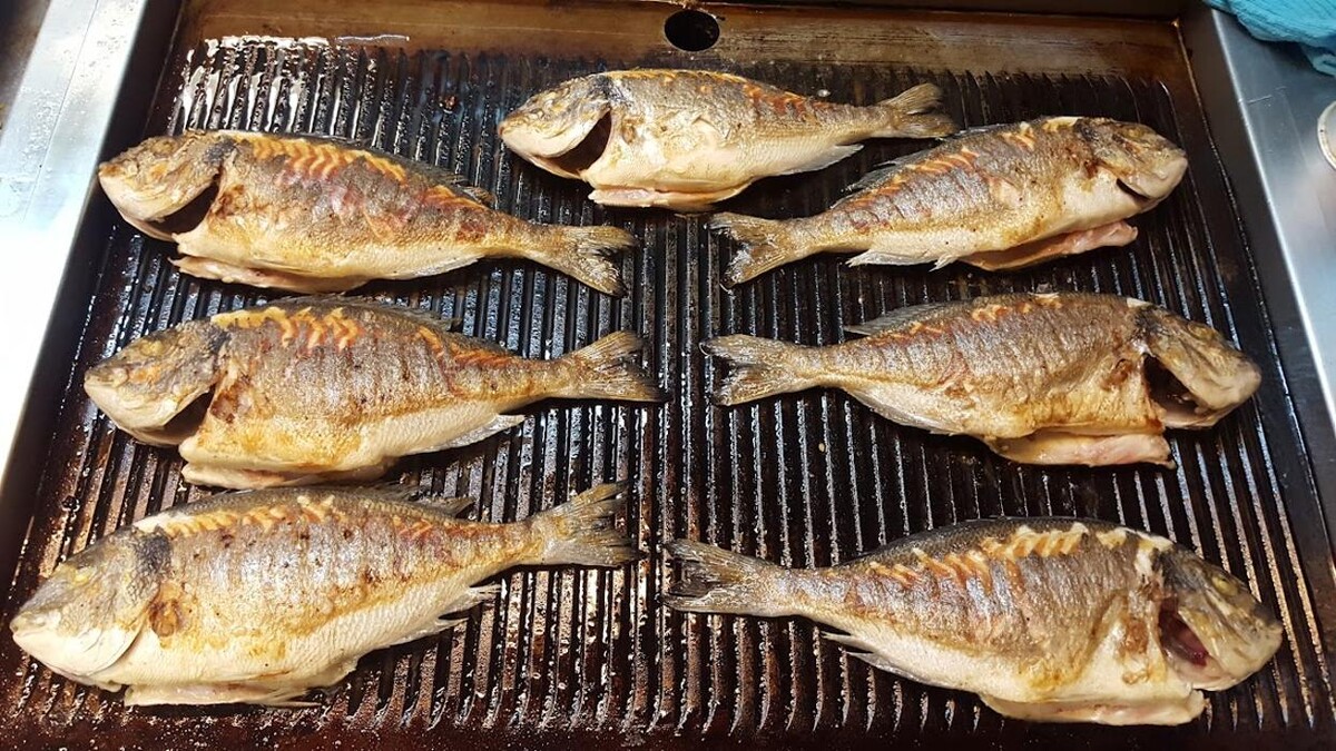 Bilder Jadran Grill