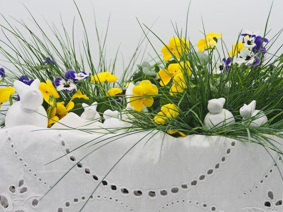 Bilder Marion Paredes GmbH