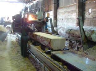 Bilder Willi Schrader Zimmerei und Sägewerk      