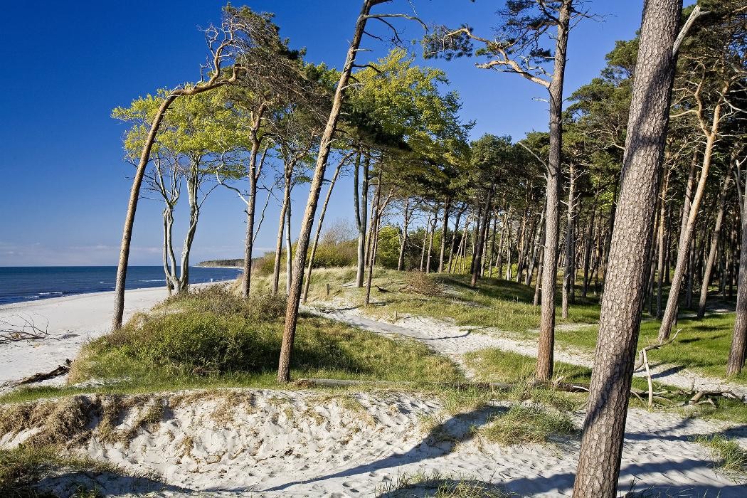 Bilder Tourismusverband Fischland-Darß-Zingst e.V.