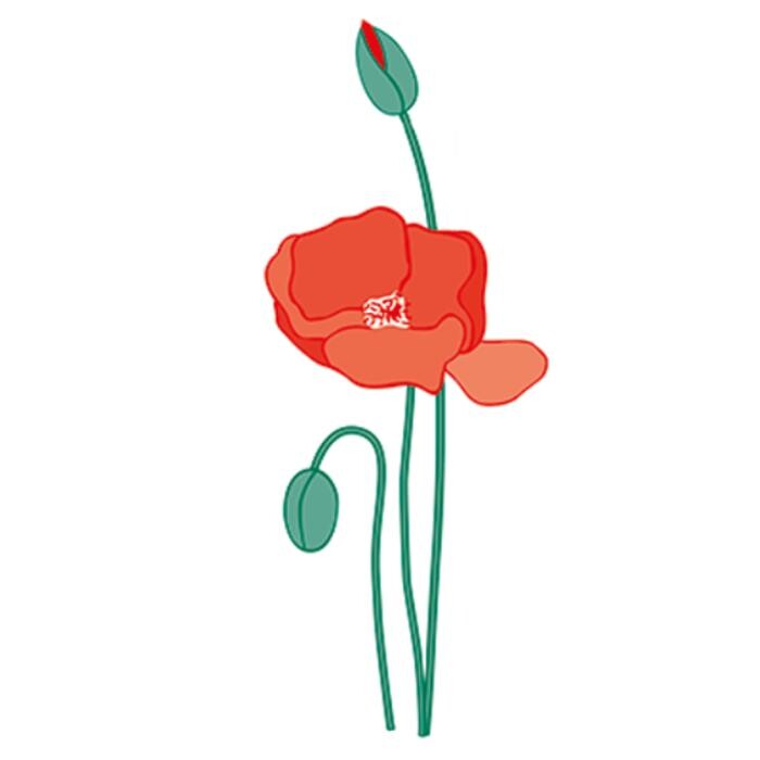 Blumen Busch Logo