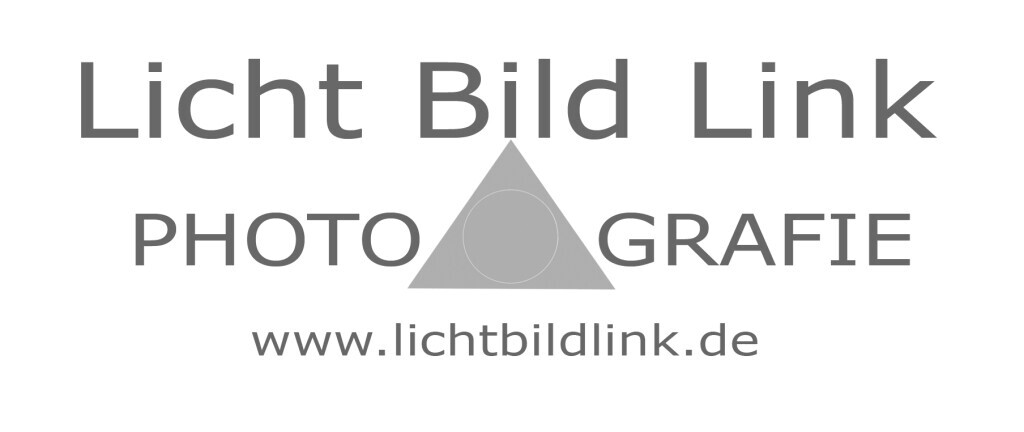 Licht Bild Link Logo