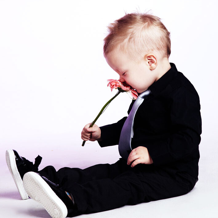 Bilder Der Lichtmacher