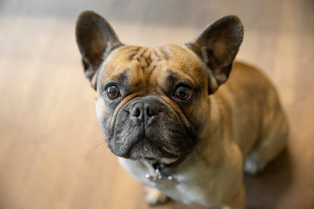 Bilder Wohngemeinschaft Heidehort GmbH