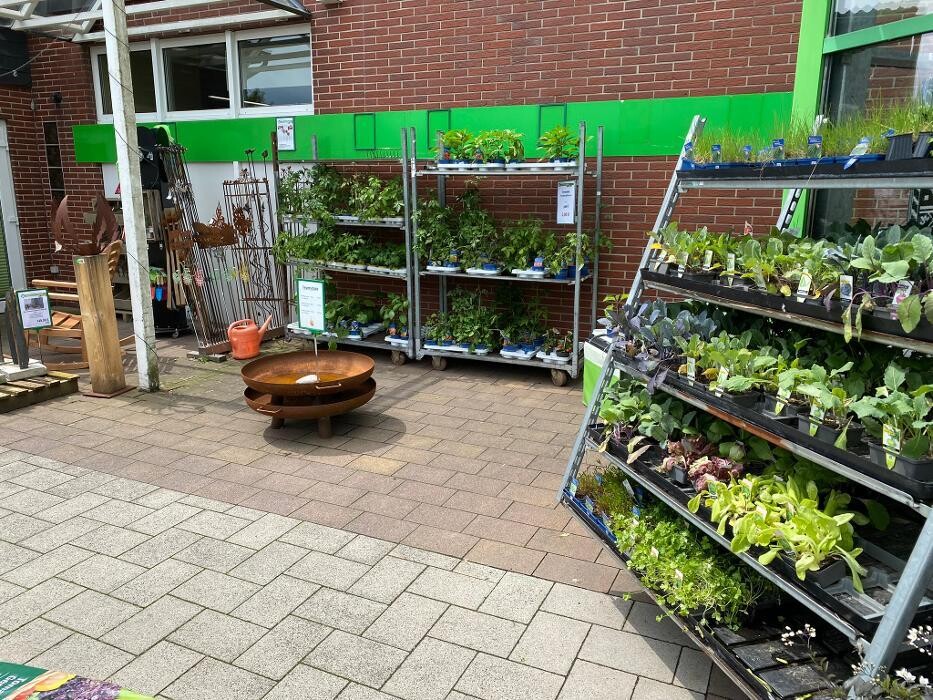 Bilder Raiffeisen-Markt Warburg