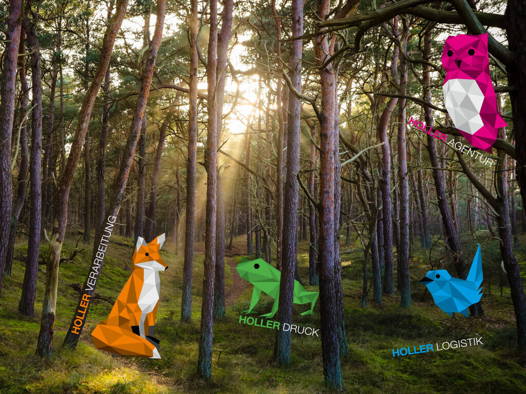 Bilder HOLLER DRUCK GMBH