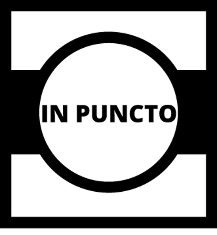 IN PUNCTO STORE Logo