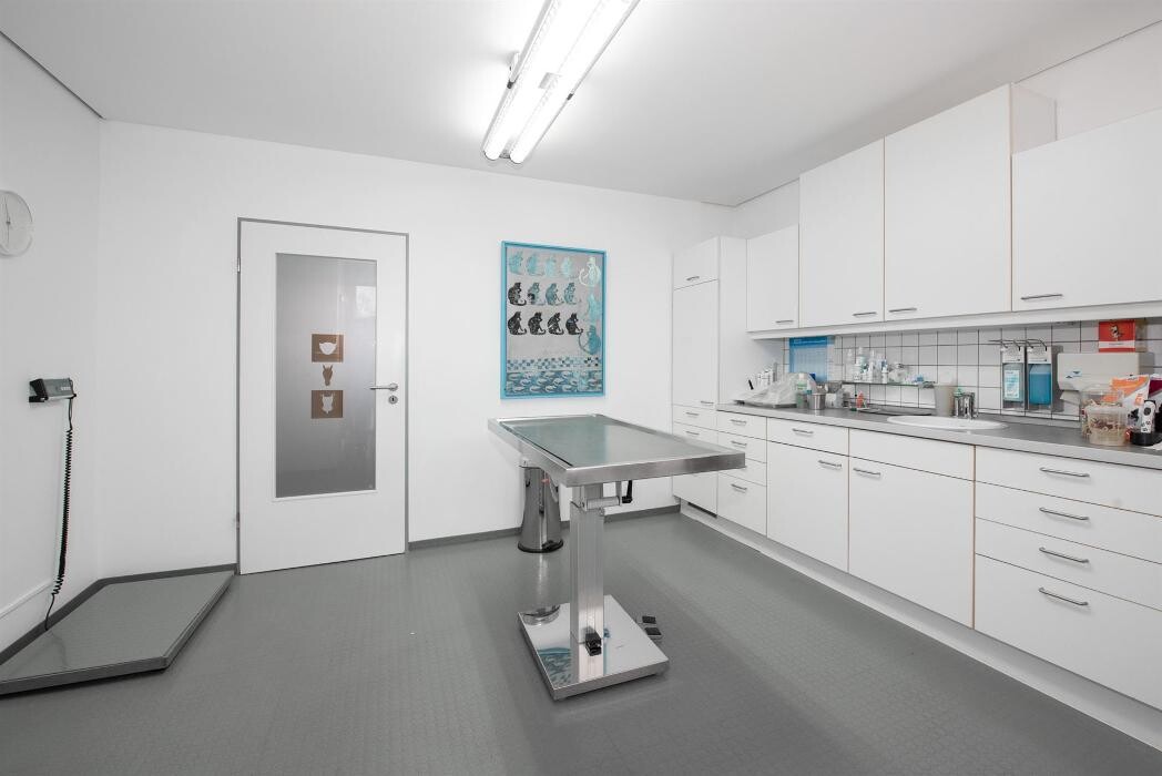 Bilder Tierärztliche Praxis für Kleintiere Dr. Thomas Bachmann