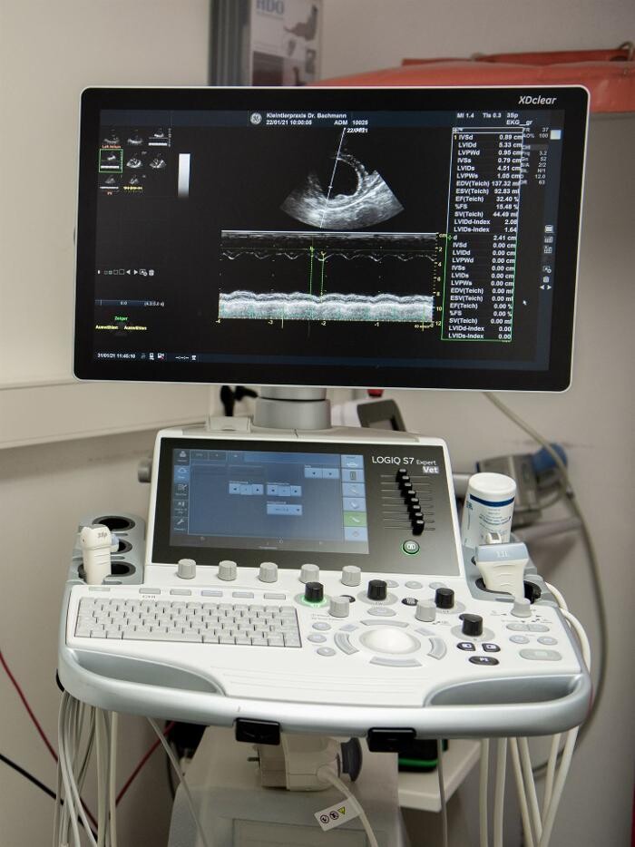 Bilder Tierärztliche Praxis für Kleintiere Dr. Thomas Bachmann