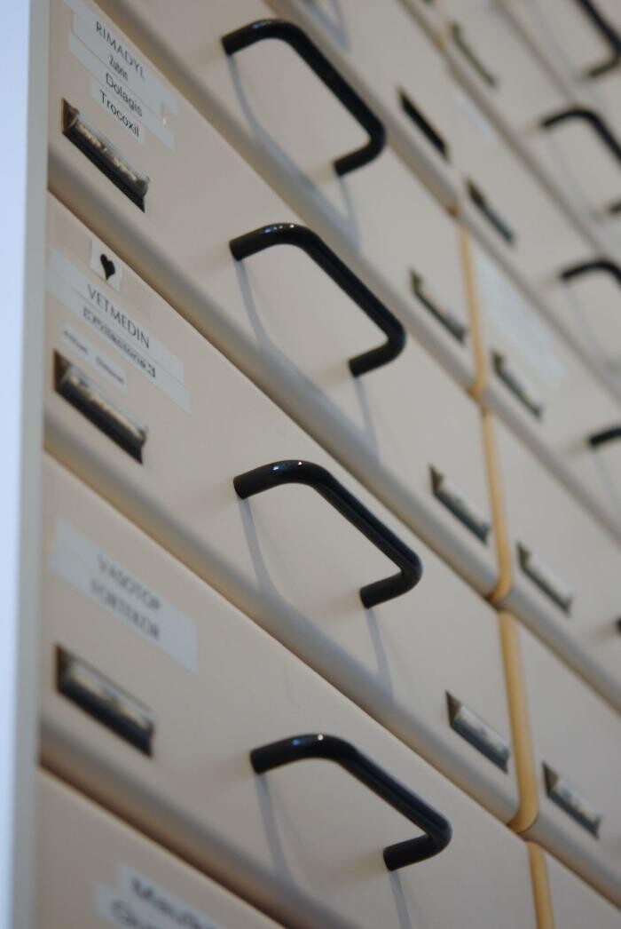 Bilder Tierärztliche Praxis für Kleintiere Dr. Thomas Bachmann