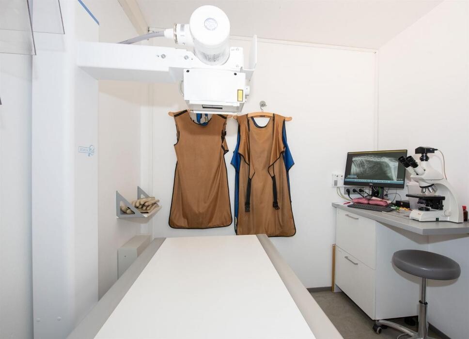 Bilder Tierärztliche Praxis für Kleintiere Dr. Thomas Bachmann