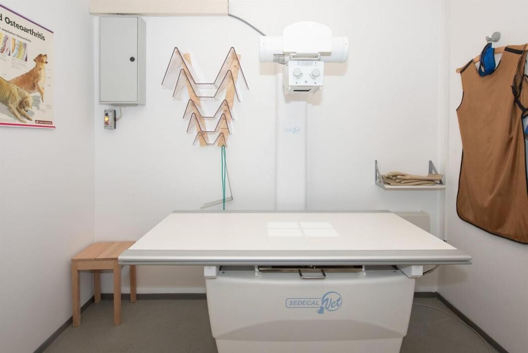 Bilder Tierärztliche Praxis für Kleintiere Dr. Thomas Bachmann