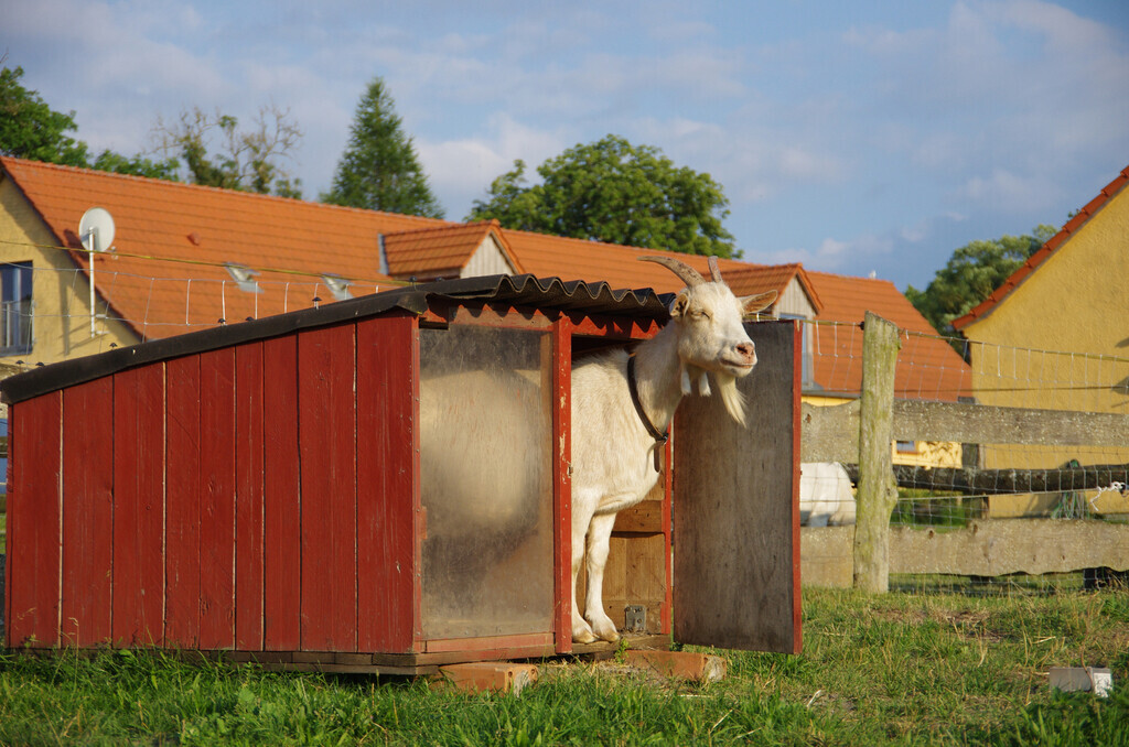 Bilder Naturdorf Eickhof