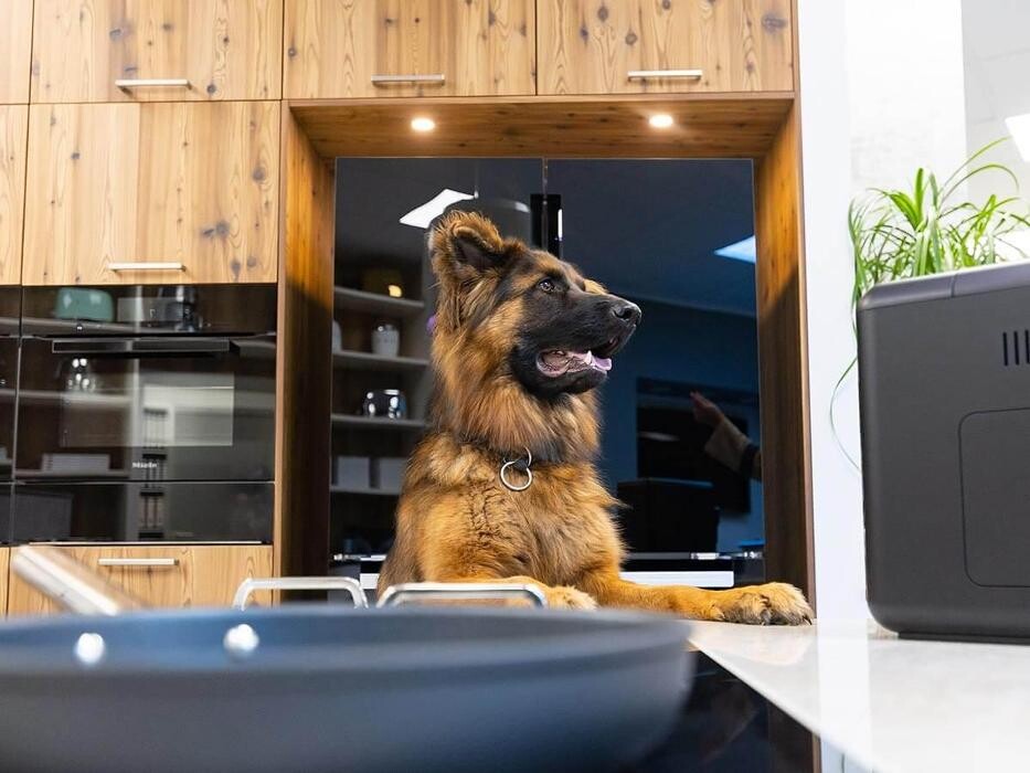 Bilder Küchen Trio GmbH