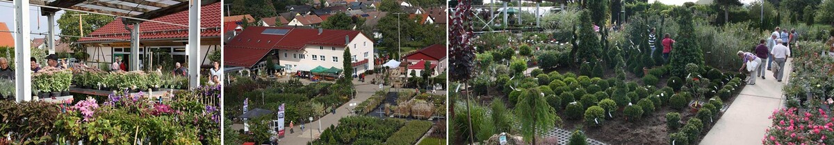 Bilder Kienzle Garten GmbH