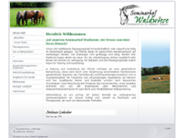 Liebscher Melanie website screenshot