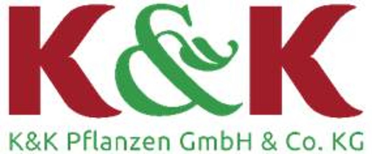 K & K Pflanzen GmbH & Co. KG Logo