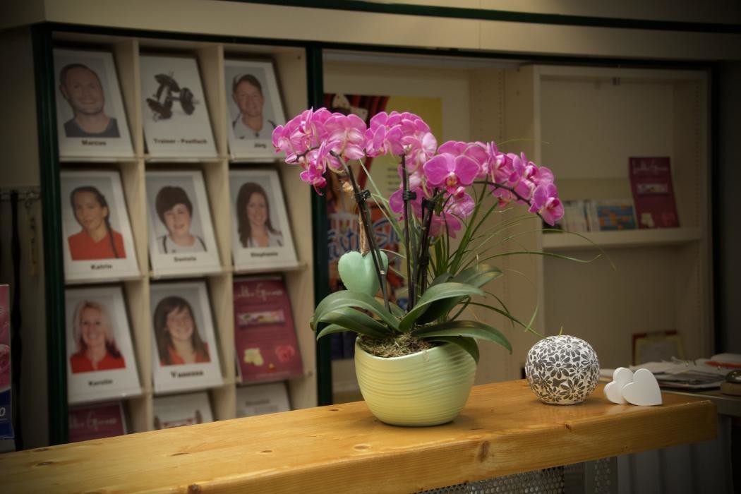 Bilder FITNESS am CHEMNITZ CENTER