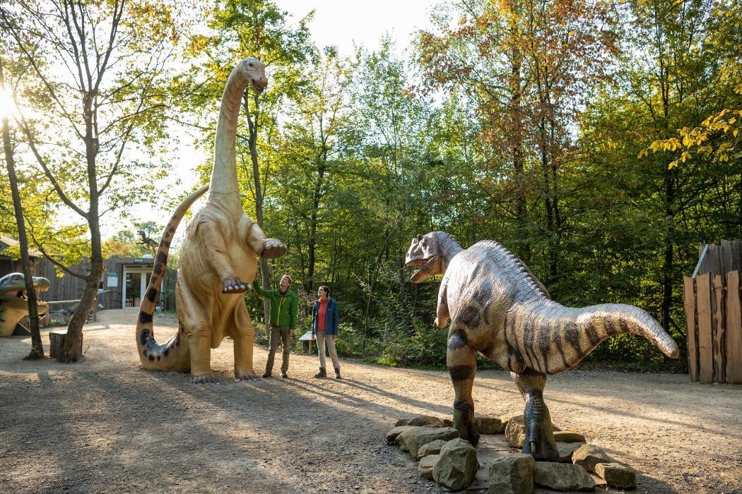 Bilder Dinosaurierpark Teufelsschlucht