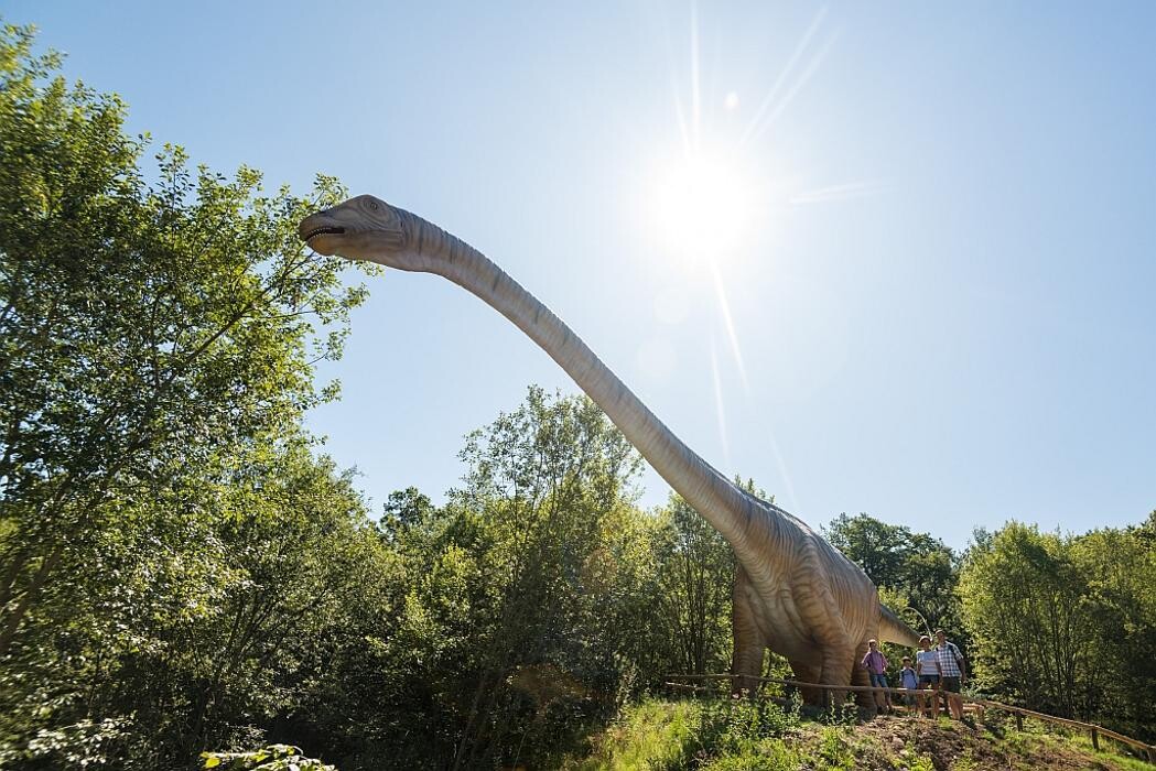 Bilder Dinosaurierpark Teufelsschlucht