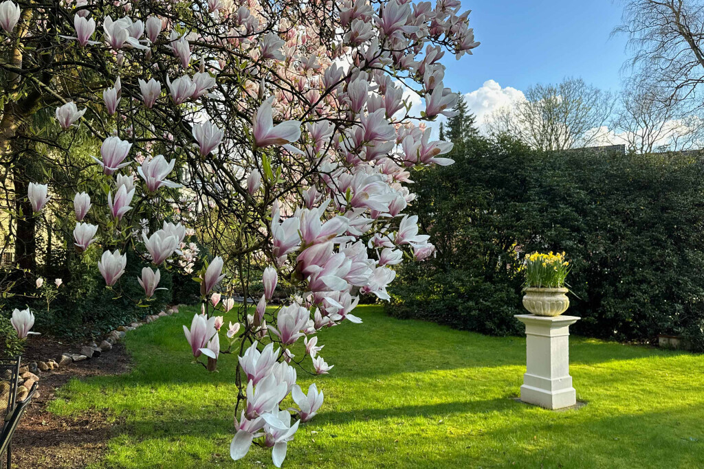 Bilder Boutique Hotel Rosengarten Hamburg