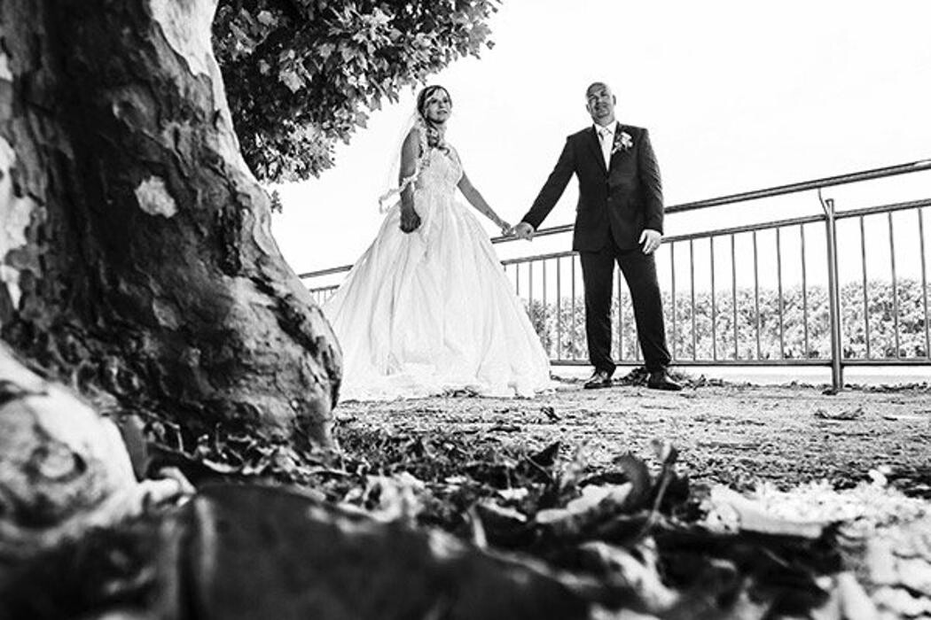 Bilder Photo-Proßwitz