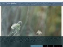 Website Screenshot Bestattungen Koller e.K., Inh. Thomas Schäuble - Radolfzell