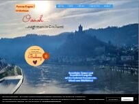 Website Screenshot Pension Regina / Gräfenhaus