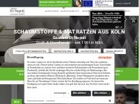 Website Screenshot Gaetano Di Napoli
