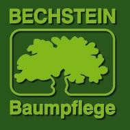 Bilder Bechstein Baumpflege GmbH