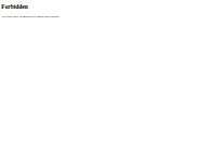 Website Screenshot Günther Schubert, Diplom-Kaufmann, Steuerberater
