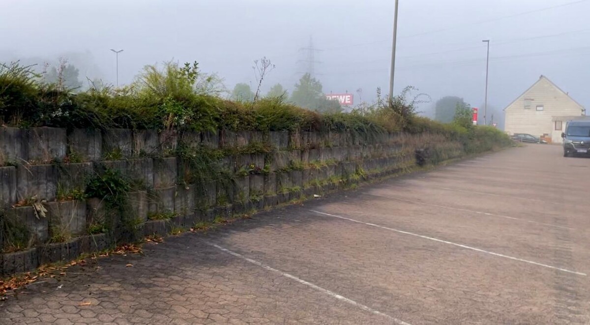 Bilder LuTo Service & Dienstleistung