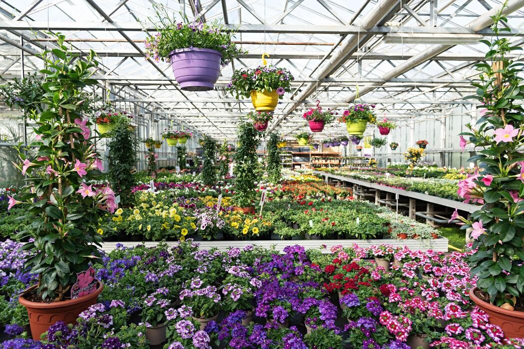 Bilder Markus Gebhardt | Gartencenter