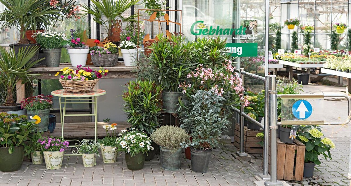 Bilder Markus Gebhardt | Gartencenter