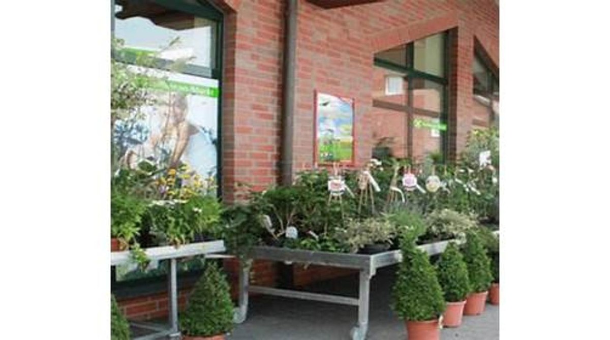 Bilder Raiffeisen-Markt Wittlager-Land