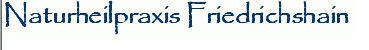 Naturheilpraxis Friedrichshain Sebastian Mösing Master Chiropractic Logo
