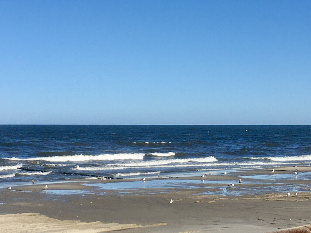 Bilder Perelingua-Sprachreisen