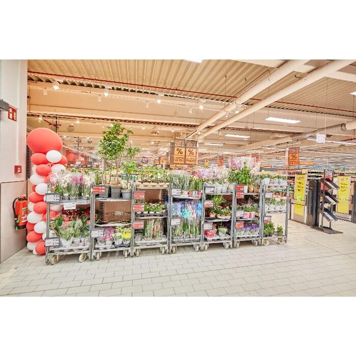 Bilder Kaufland Limbach-Oberfrohna