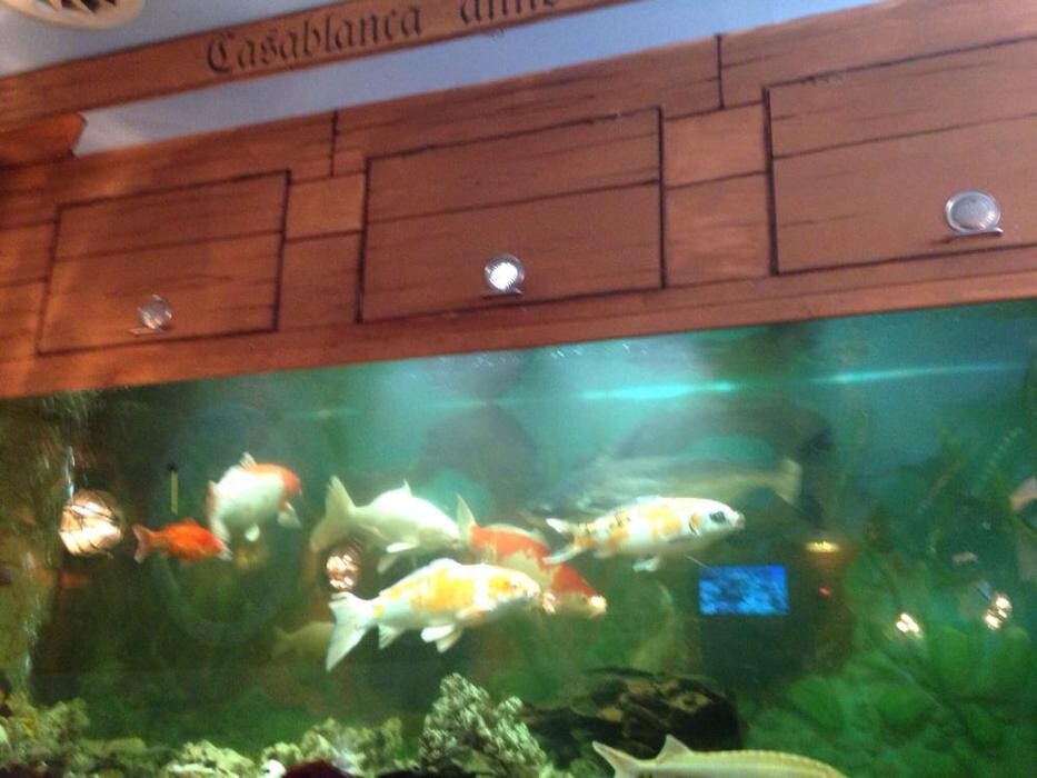 Bilder Casablanca Hotel Restaurant Bowlingbahn