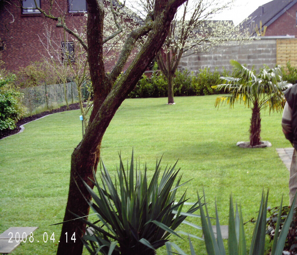 Bilder A-Z Garten- und Landschaftsbau Ingo Schmidt