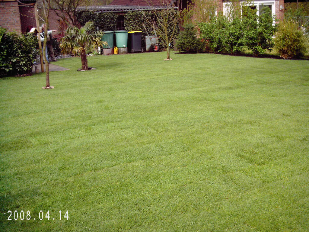 Bilder A-Z Garten- und Landschaftsbau Ingo Schmidt