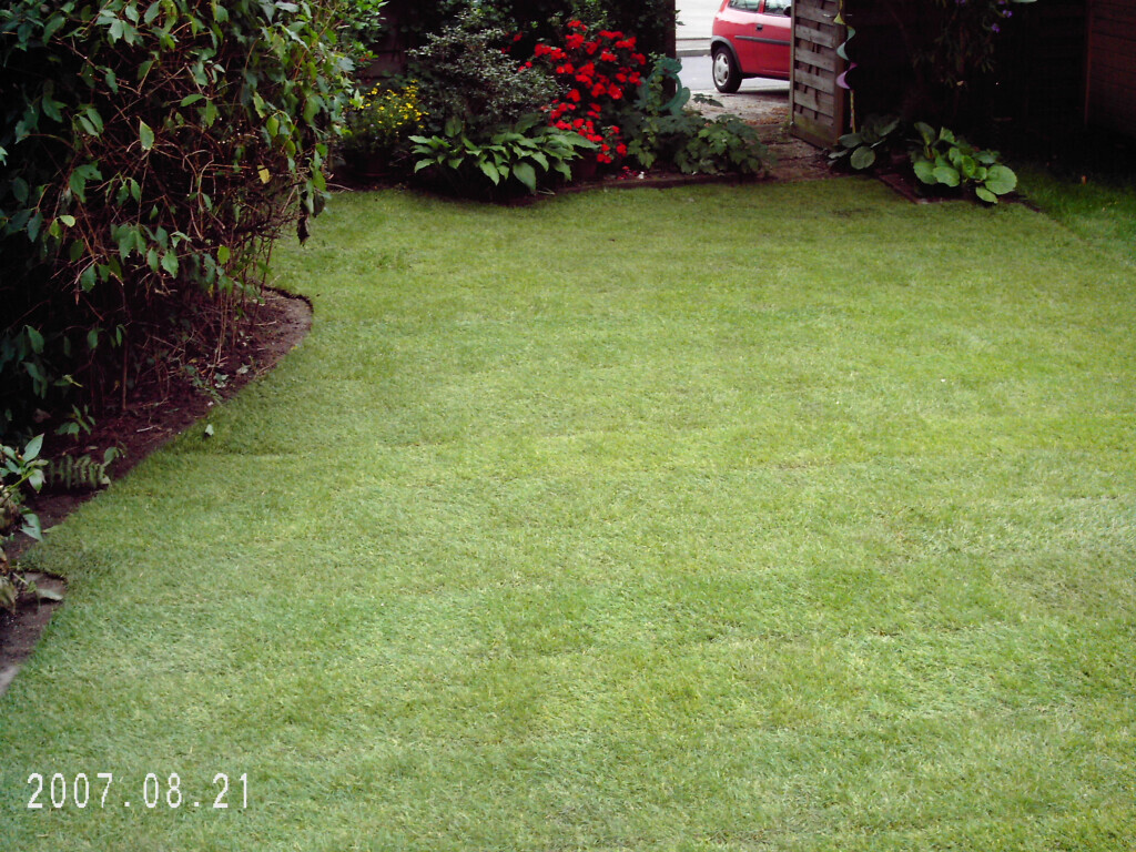 Bilder A-Z Garten- und Landschaftsbau Ingo Schmidt