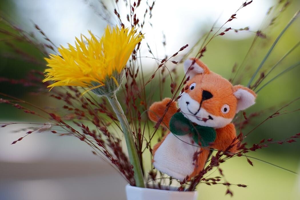 Bilder WBS SCHULEN Leipzig