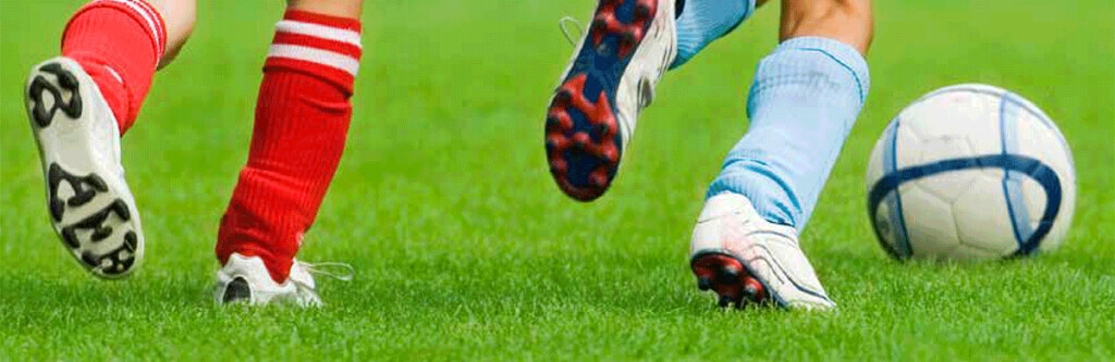 Bilder Die Wühlmäuse Frohs eK