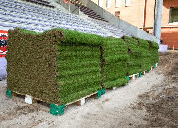 Bilder Die Wühlmäuse Frohs eK