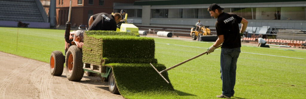 Bilder Die Wühlmäuse Frohs eK