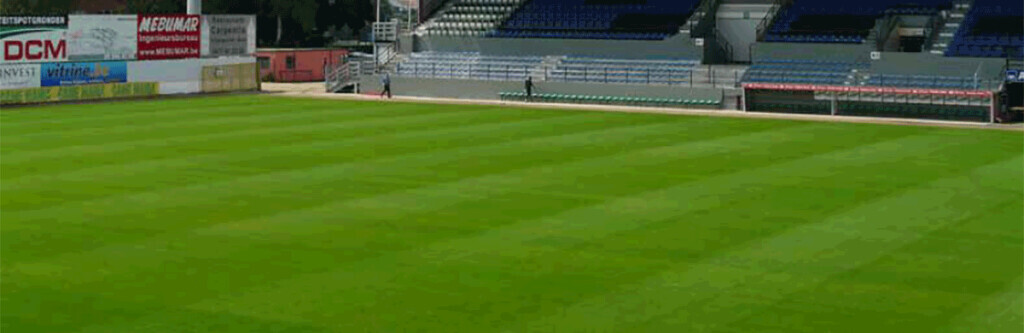 Bilder Die Wühlmäuse Frohs eK