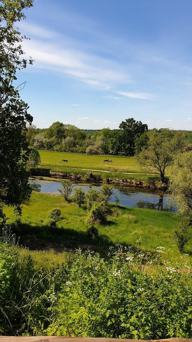 Bilder Schloss Herberge Hohenerxleben GmbH