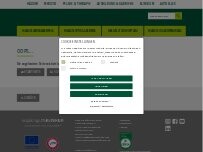 Website Screenshot MVZ HNO-Heilkunde, Abeer Selmann, Erzgebirgsklinikum MVZ gGmbH